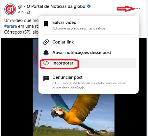 Incorporar Vídeo do Facebook no WordPress / Blog HospedagemHost
