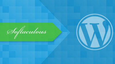 Como instalar o WordPress com o Softaculous / HospedagemHost Blog